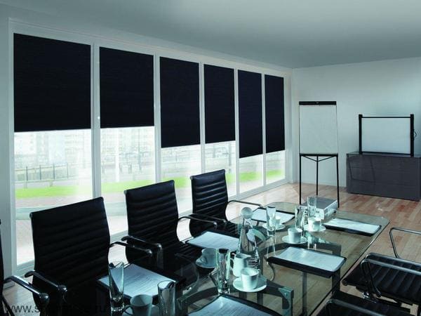 Рулонные шторы в кабинет